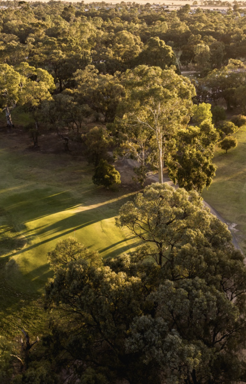 Deniliquin Golf Club