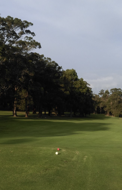 Manjimup Country Club