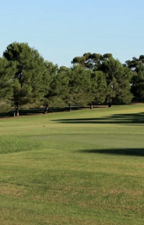 Mannum Golf Club
