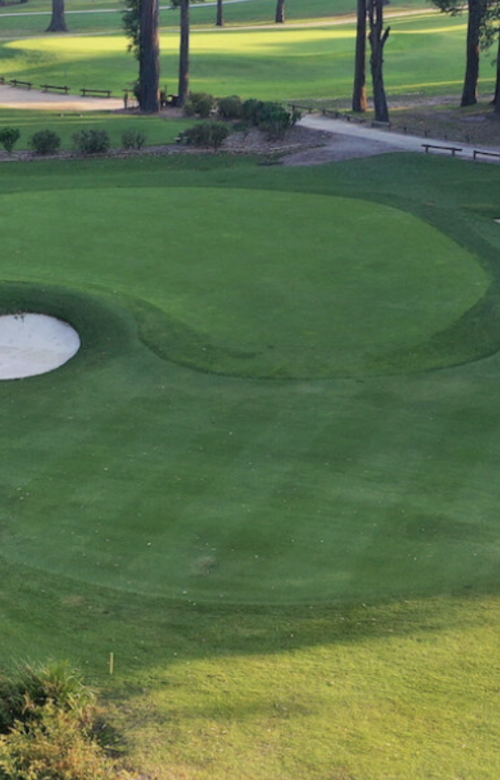 Mollymook Golf Club