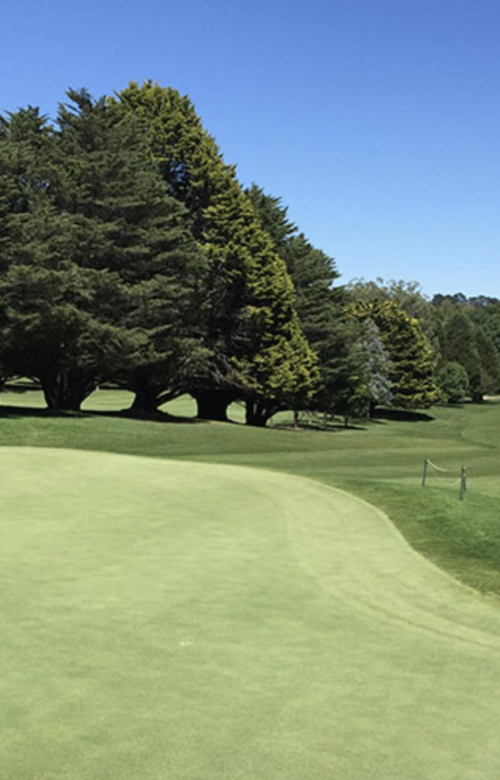 Moss Vale Golf Club