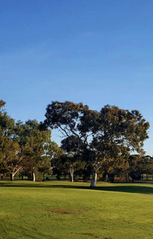 Port Augusta Golf Club