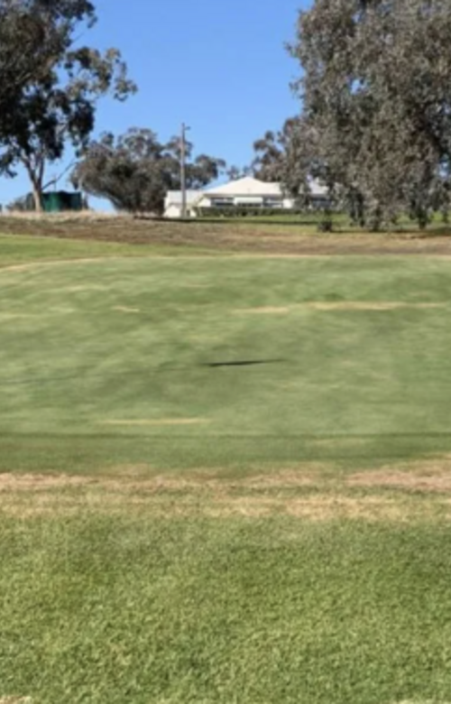 Quirindi RSL Golf Club