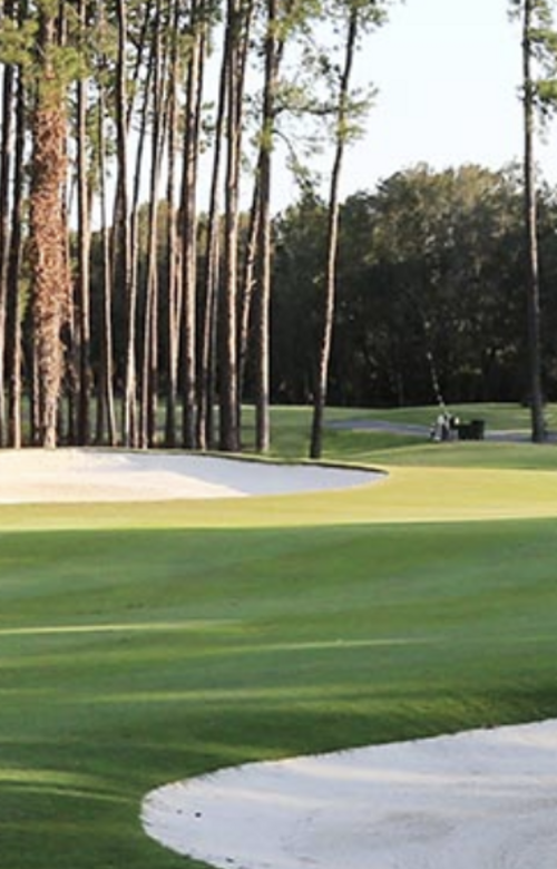 Sanctuary Cove Golf & CC - The Pines