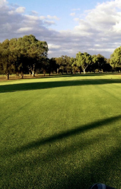 Serpentine & Districts Golf Club