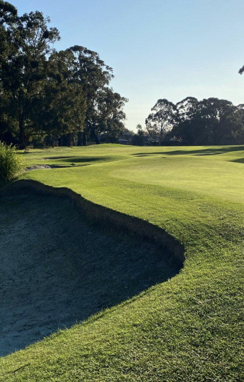 Forest Hills Golf Club