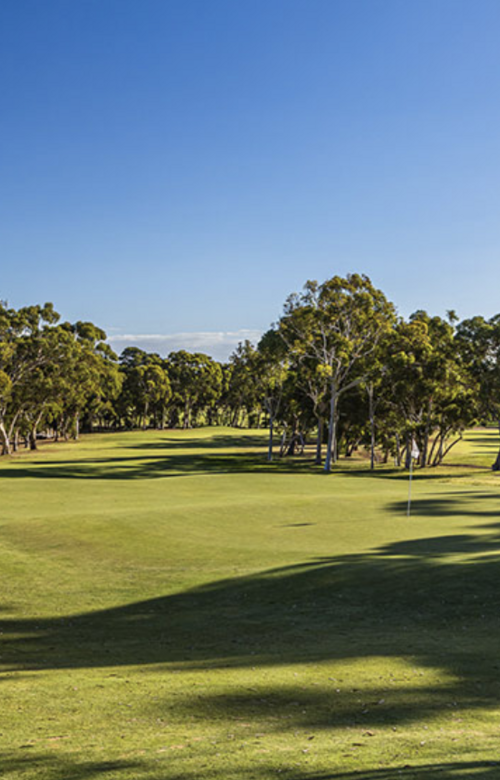 Tea Tree Gully Golf Club