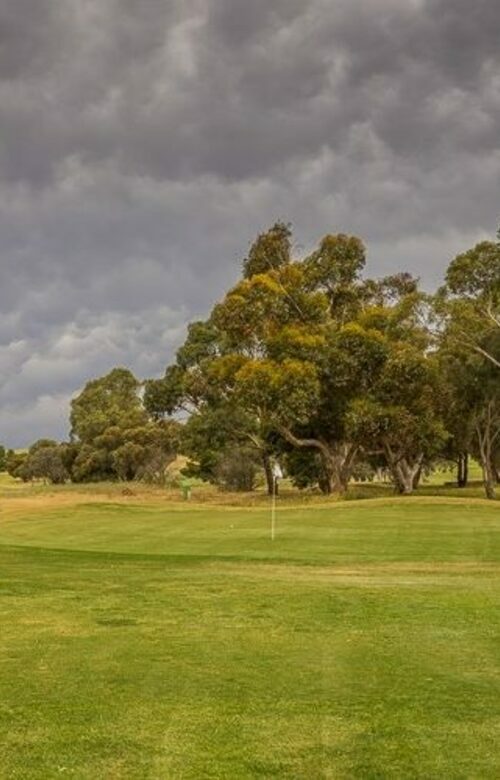 Burra Golf Club