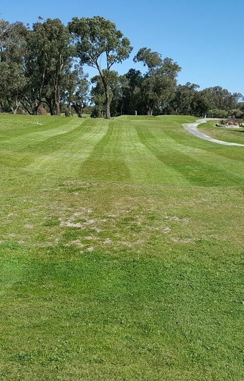 Kingston SE Golf Club