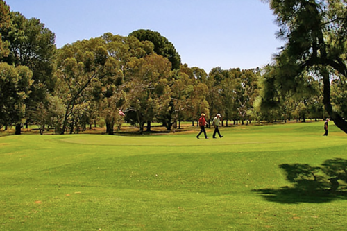 Penfield Golf Club