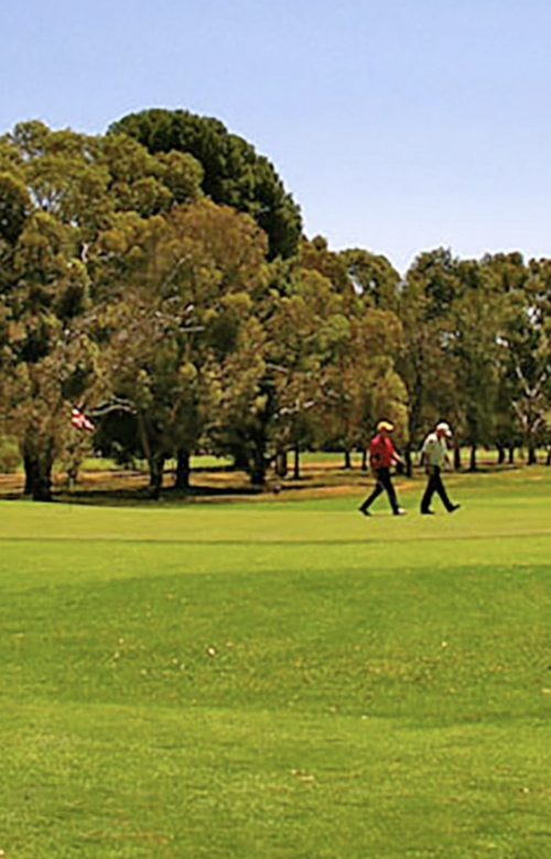 The Gums Golf Club