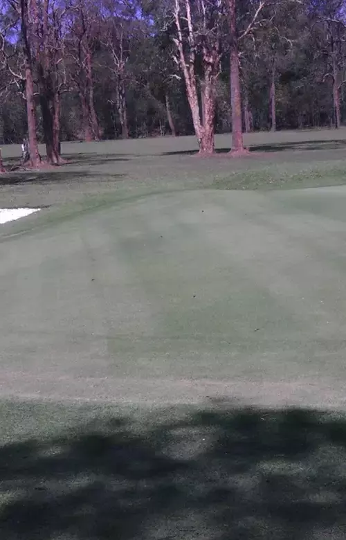 Woodburn-Evans Head Golf Club