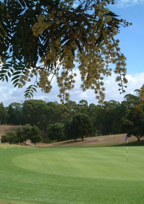Burnie Golf Club
