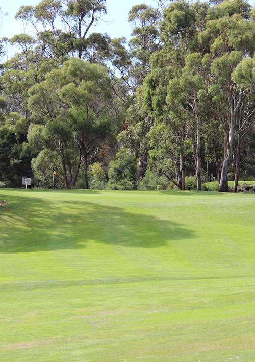 Freycinet Golf Club