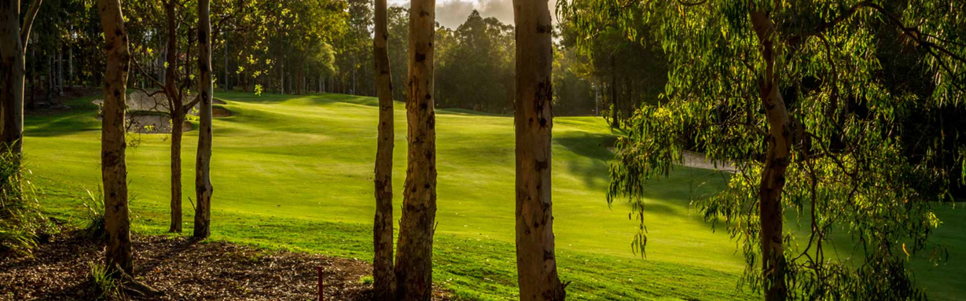 Brookwater Golf and Country Club
