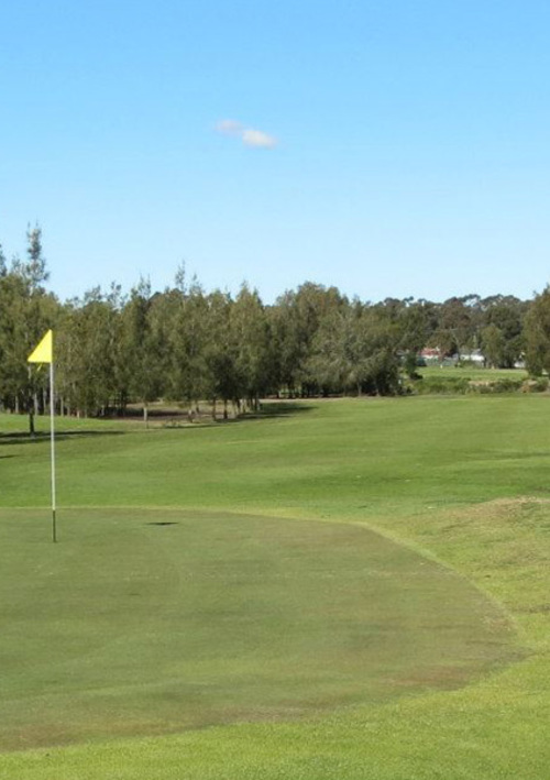 Beresfield Golf Club