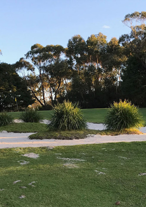 Boomerang Public Golf Course	