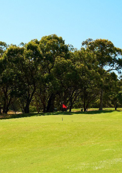 Belair Park Golf Club	