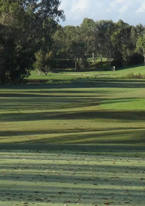 Blacksprings Golf Club