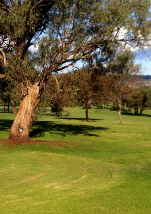 Barraba Golf Club