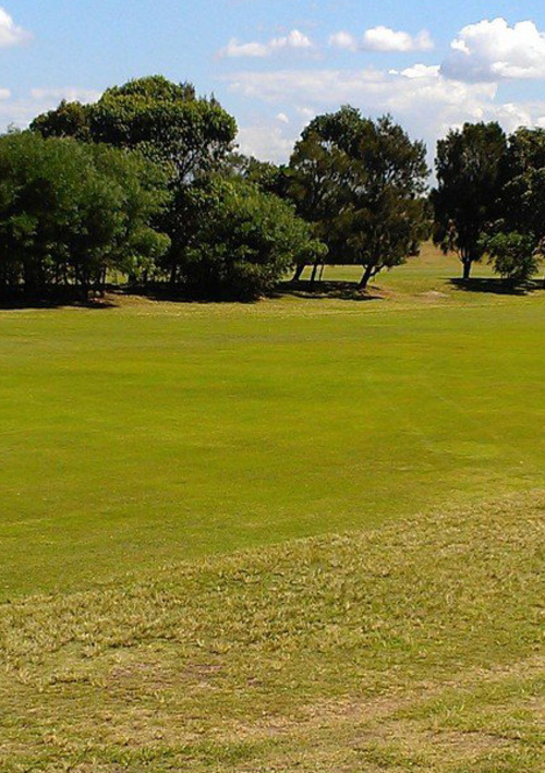 Botany Golf Club