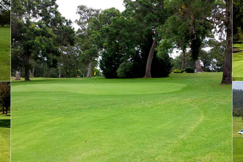 Bega-Country-Club_2.jpg