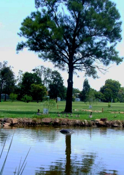 Gatton Jubilee Golf Club