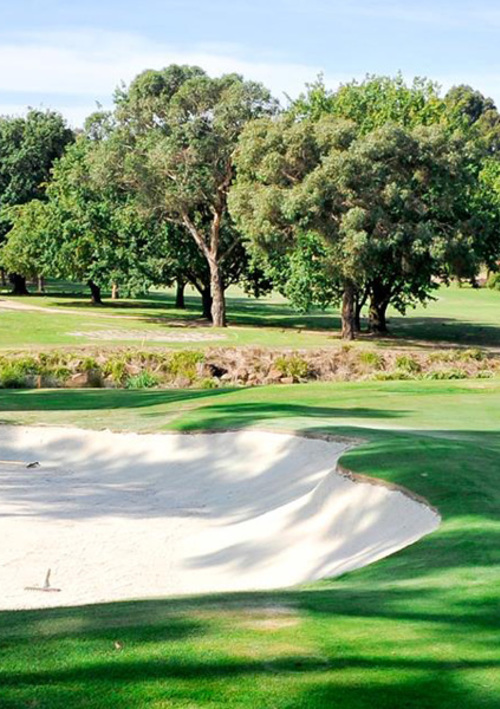Box Hill Golf Club