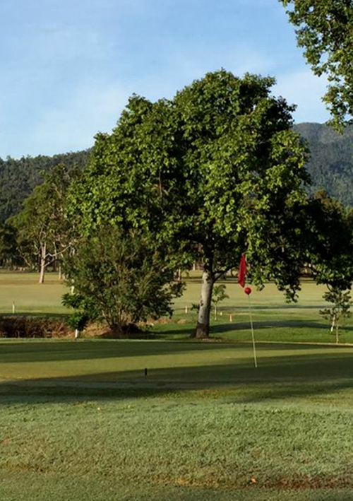 Cardwell Country Club