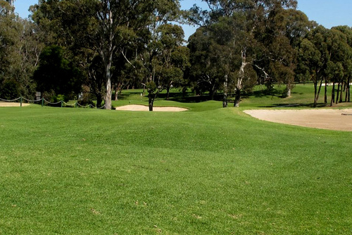 Cabramatta-Golf-Club_2.jpg