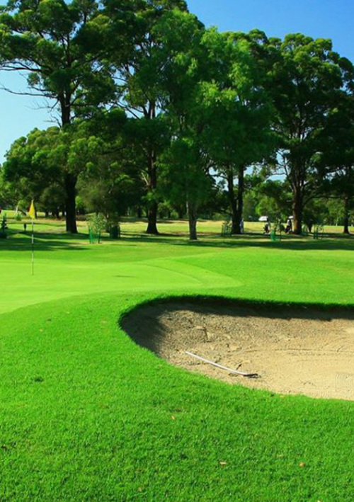 Carnarvon Golf Club