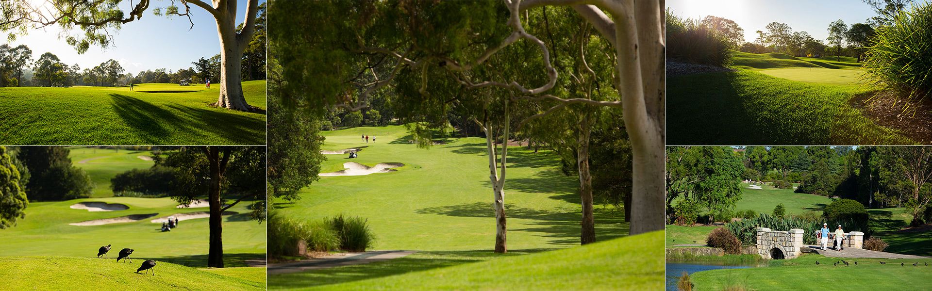 Castle Hill Country Club