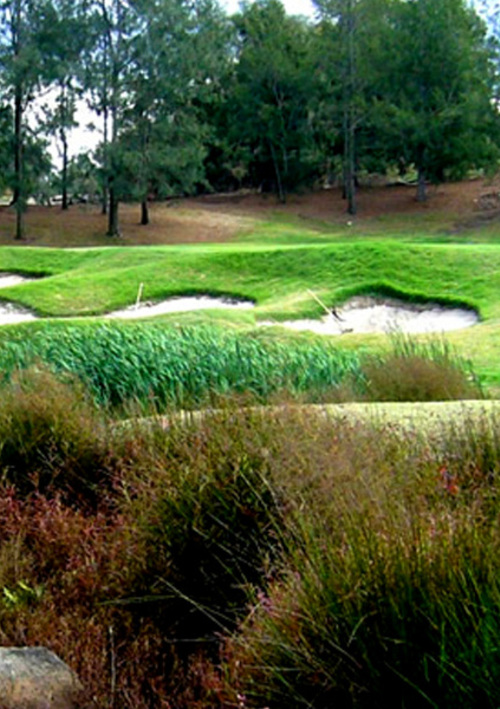 Camberwell Golf Club	