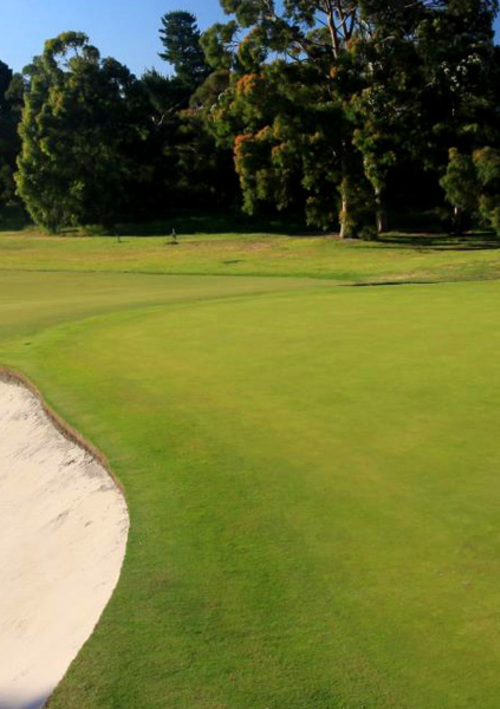 Cranbourne Golf Club