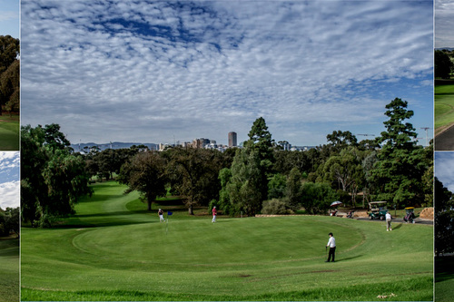 City-of-Adelaide-Golf-Club-Golf-Club-_North-Course__7.jpg