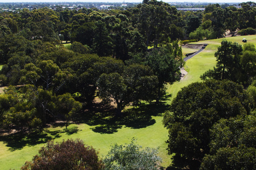 City-of-Adelaide-Golf-Club-Golf-Club-_North-Course__4.jpg