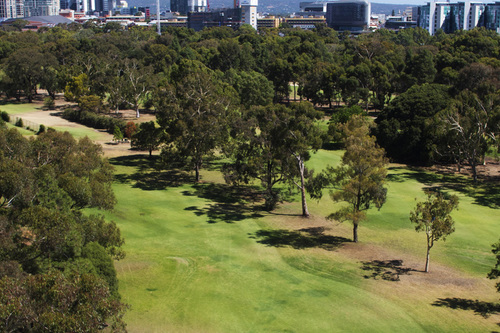 City-of-Adelaide-Golf-Club-Golf-Club-_North-Course__3.jpg