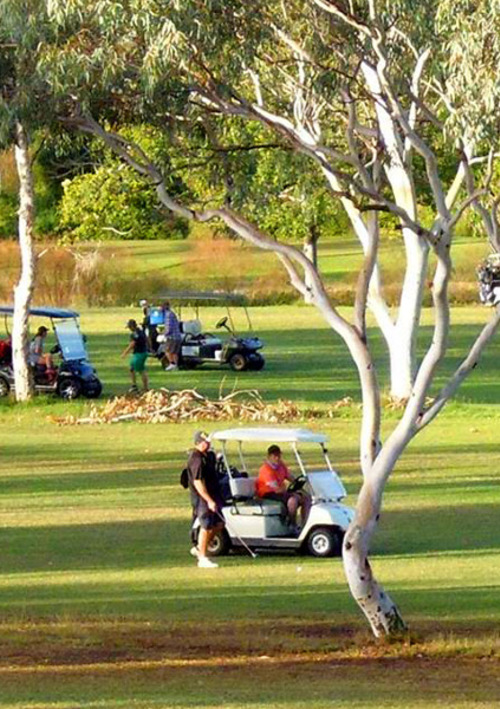 Collinsville Golf Club