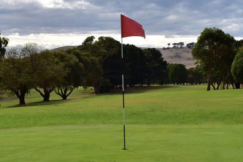 Camperdown-Golf-Club_3.jpg