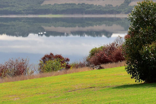 Camperdown-Golf-Club_2.jpg