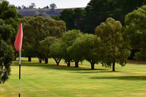 Camperdown-Golf-Club_5.jpg