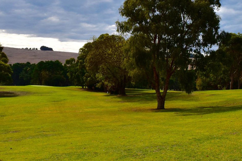 Camperdown-Golf-Club_8.jpg