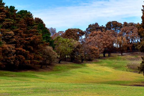 Camperdown-Golf-Club_7.jpg