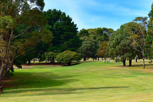 Camperdown-Golf-Club_1.jpg