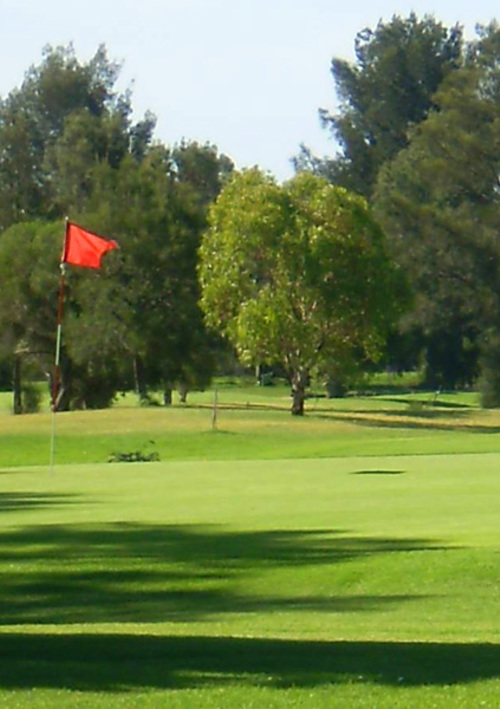 Chelsea Public Golf Course	