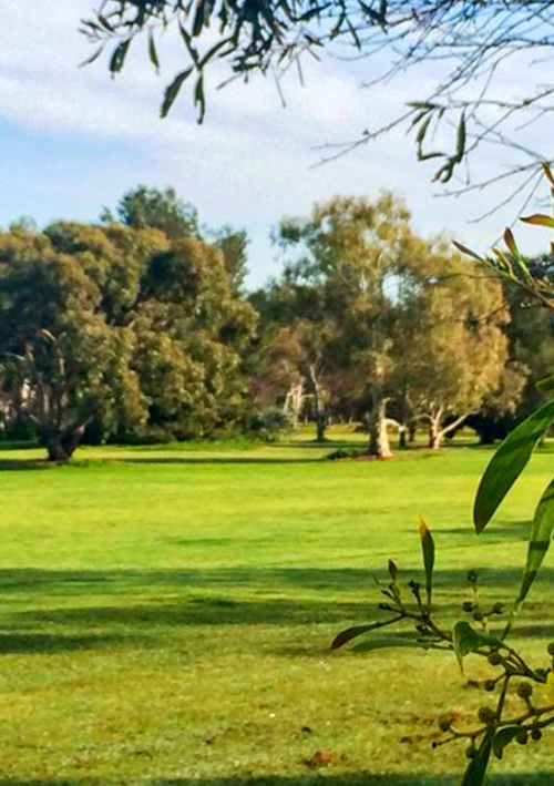 Cummins Golf Club	