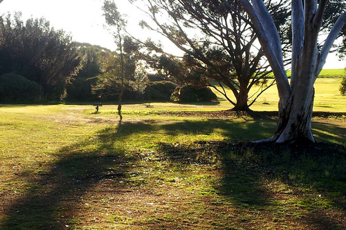 Cummins-Golf-Club_3.jpg