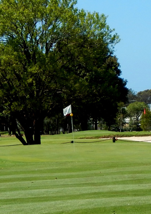 Everglades Country Club