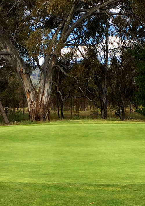Euroa Golf Club