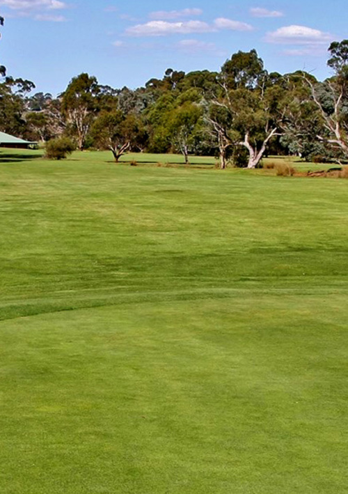 Echunga Golf Club
